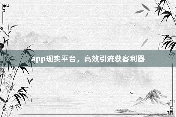 app现实平台，高效引流获客利器